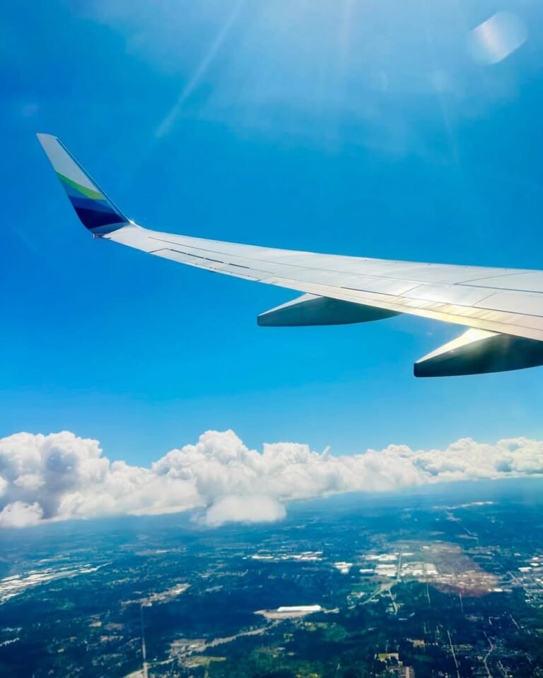 Flight Wing2