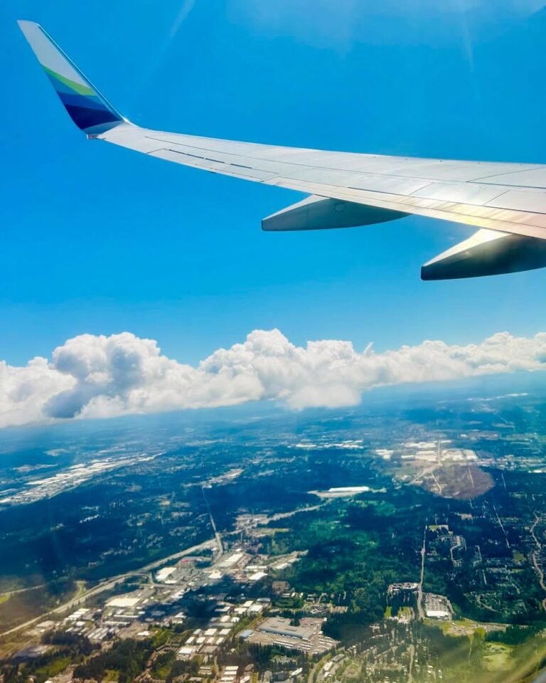 FLIGHT